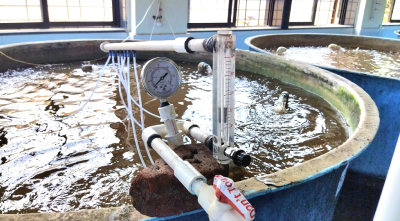 Airlift Based Biofloc Aquaculture System